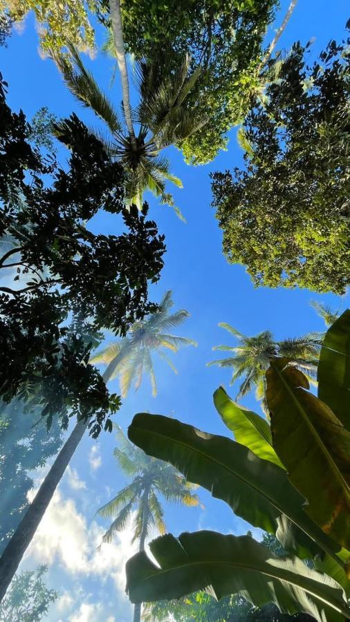 سيلونغ بيلاناك Tropical Sunday Bungalow - Surf And Stay المظهر الخارجي الصورة